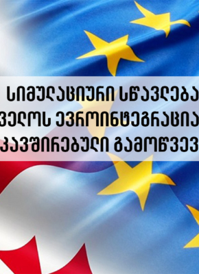 სიმულაციური სწავლება 2023 – საქართველოს ევროინტეგრაცია და მასთან დაკავშირებული გამოწვევები”